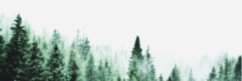 kaczusia werusia banner