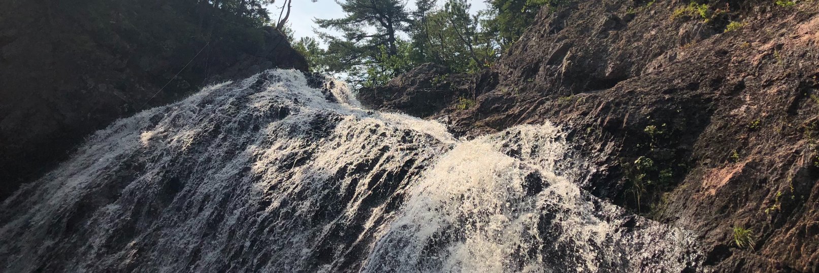 Caroline Delaney banner