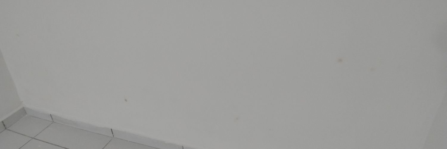 nicholas_sousa's profile banner image