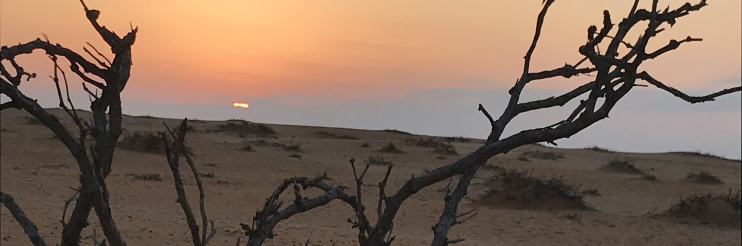 nelenmedia's profile banner image