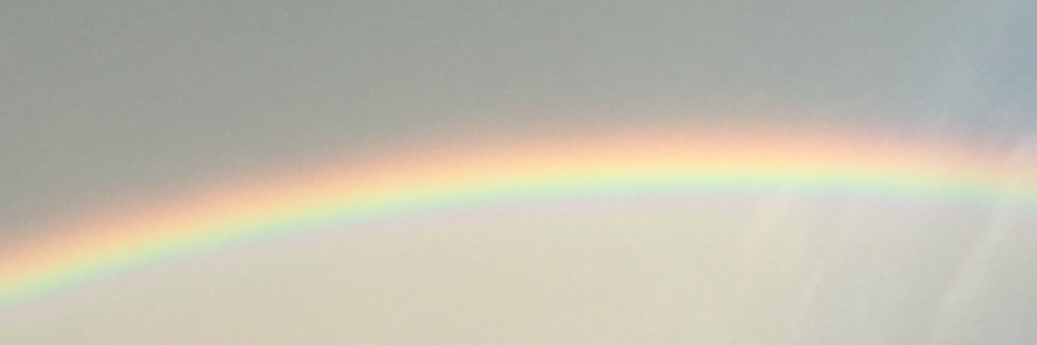 MadisonWhit21's profile banner image