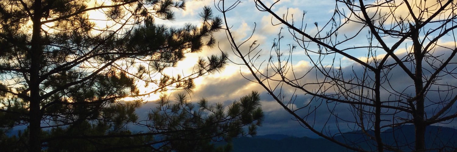 lawrenceiguchi's profile banner image