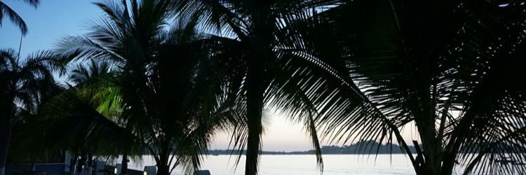 Jennaaayeee's profile banner image