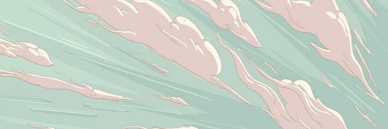 whiskercheeks's profile banner image