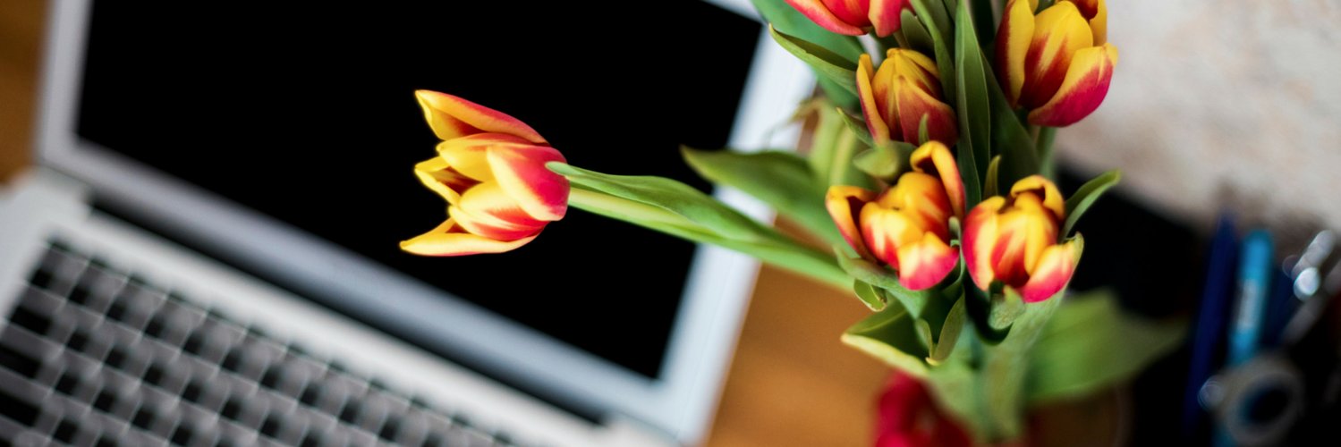 TheWhatNowBlog's profile banner image