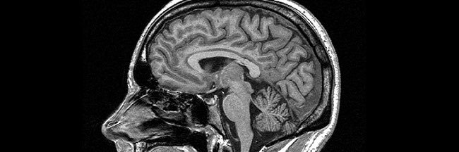 𝓢𝓱𝓸𝓪𝓲𝓫 banner