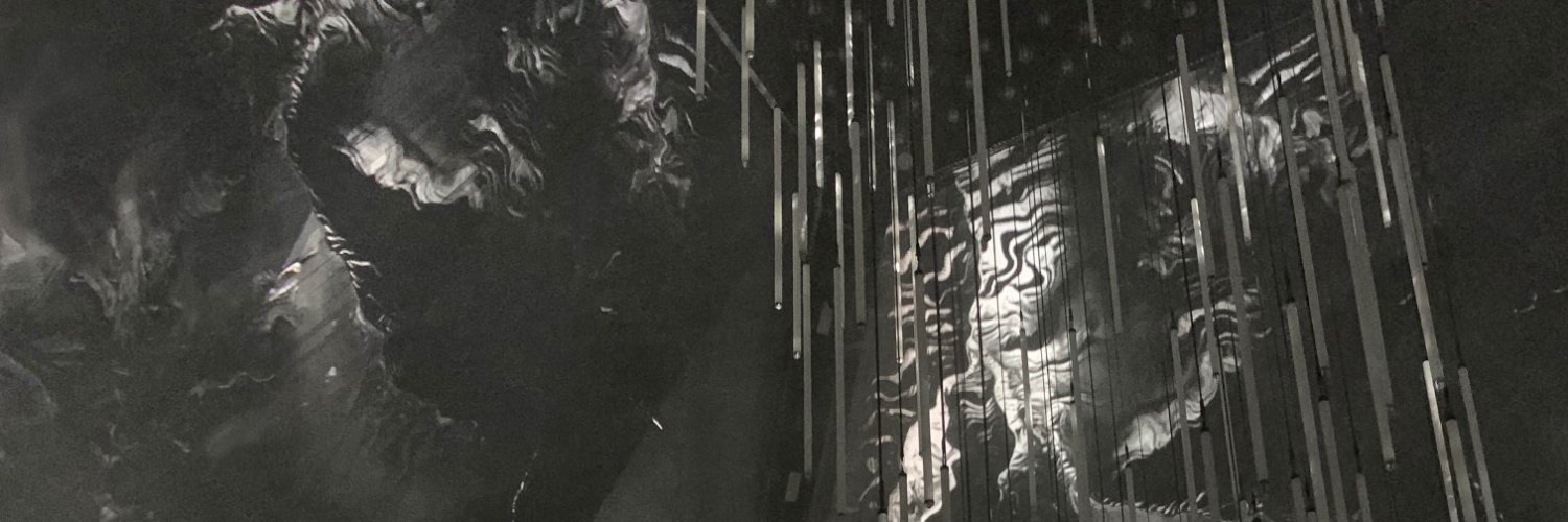 zootella's profile banner image