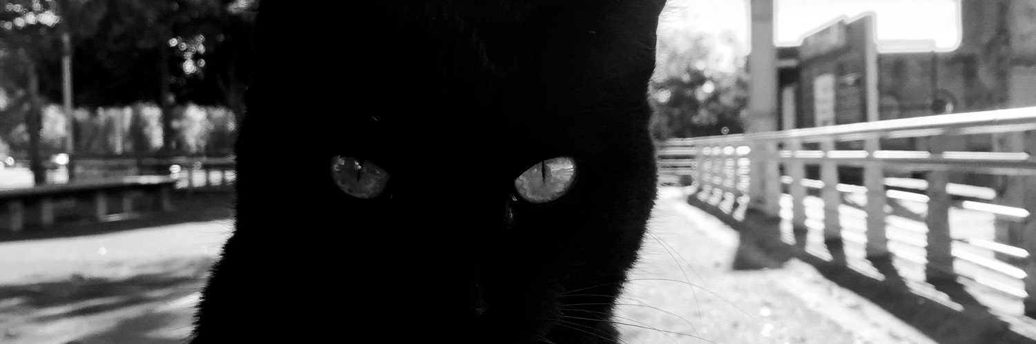 verganaok's profile banner image