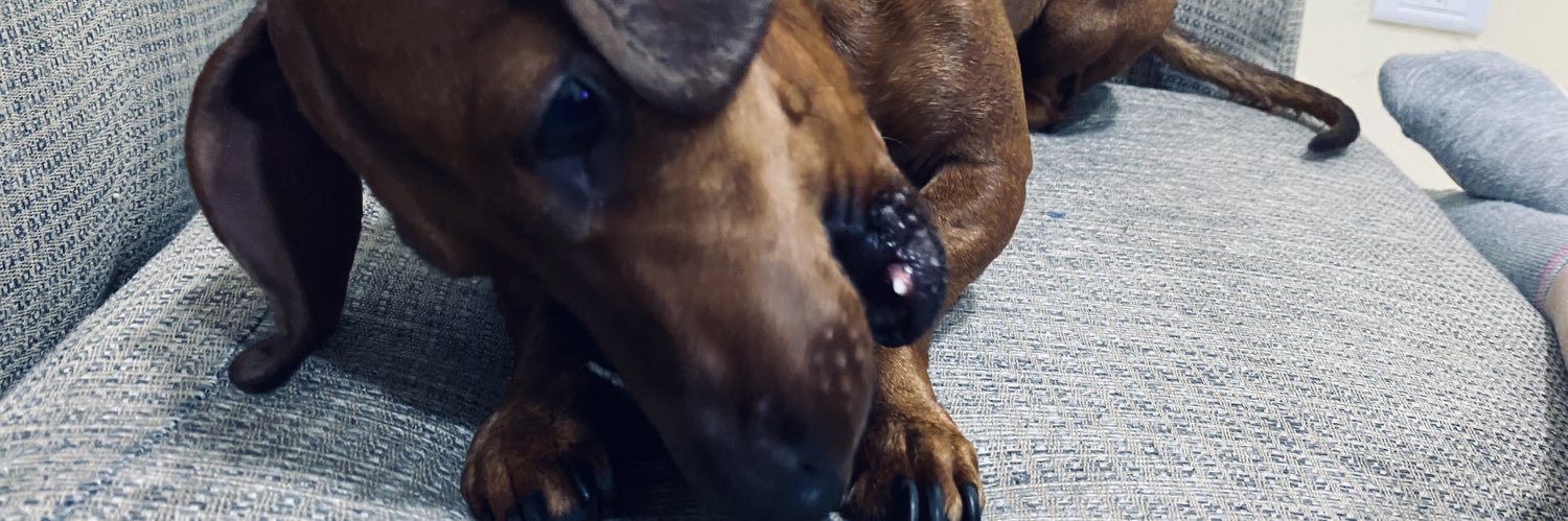 BiancaDomesi's profile banner image