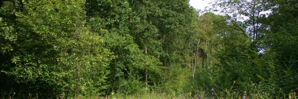 Chequertree1 Profile Banner