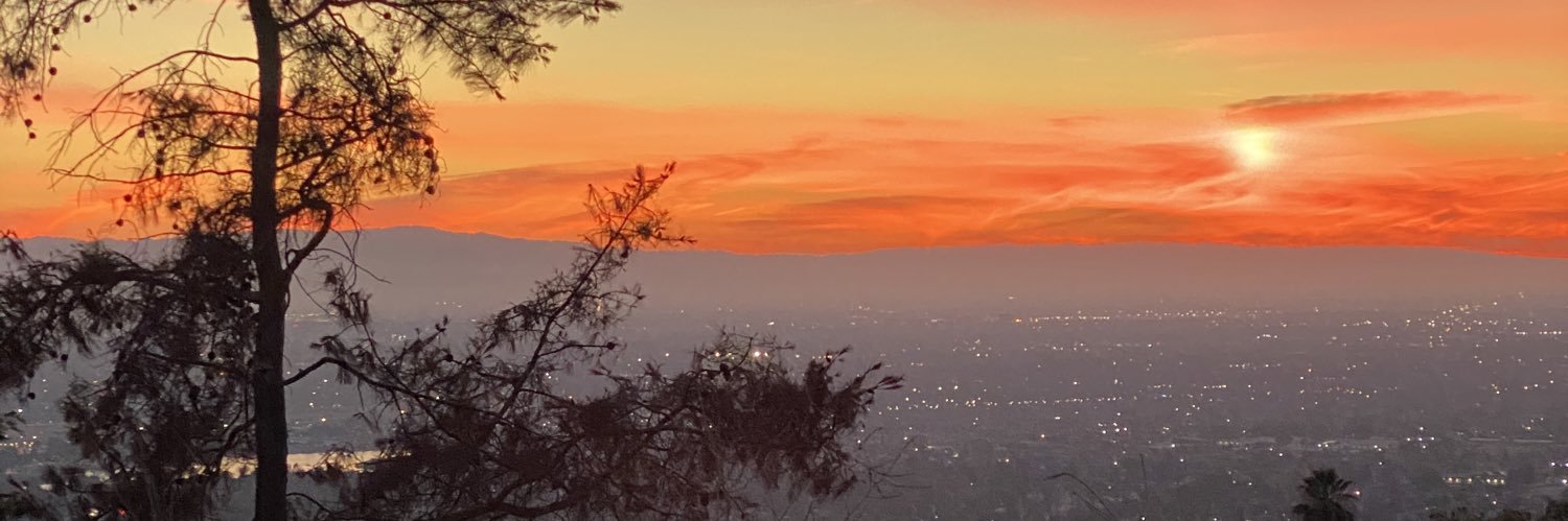 MadisonBolinger's profile banner image