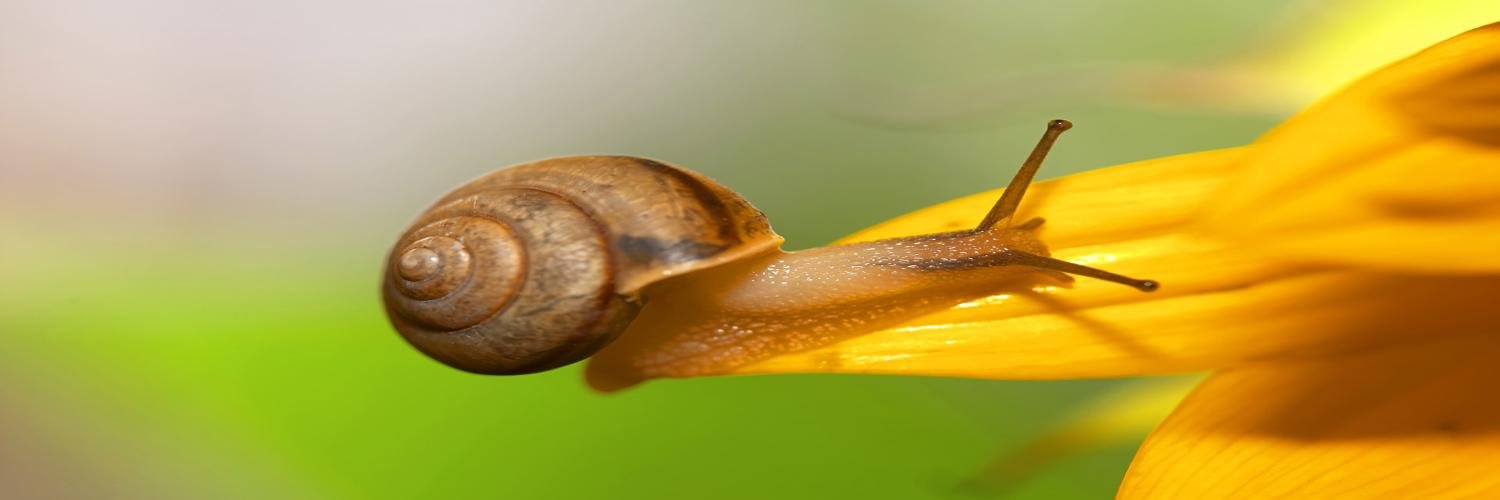 Rohffettee's profile banner image