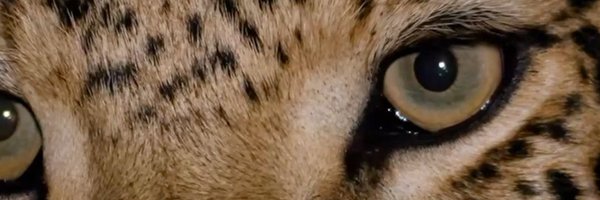 wordtoLy Profile Banner