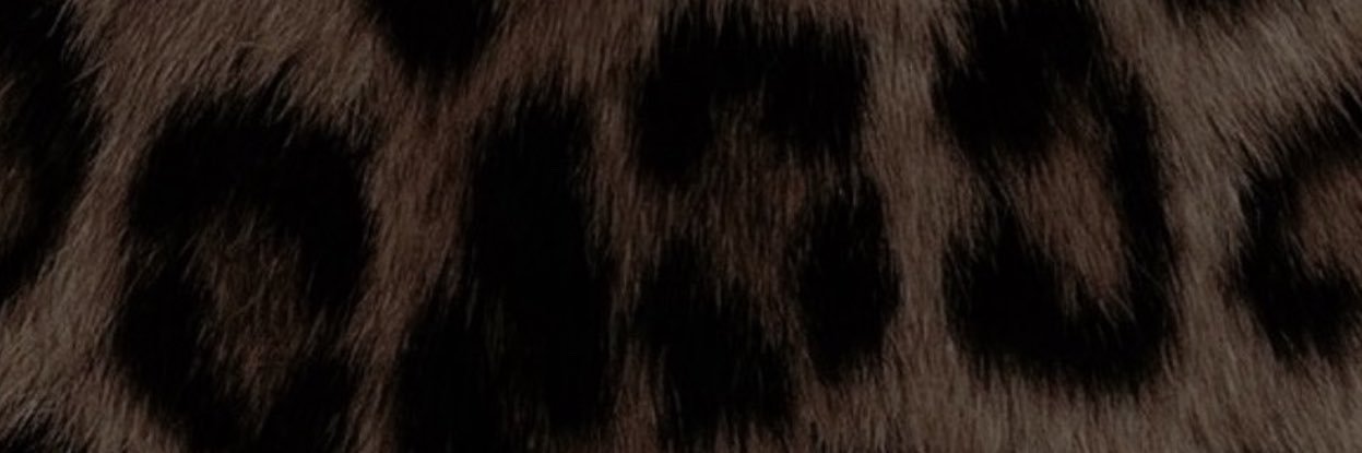 wordtoLy's profile banner image