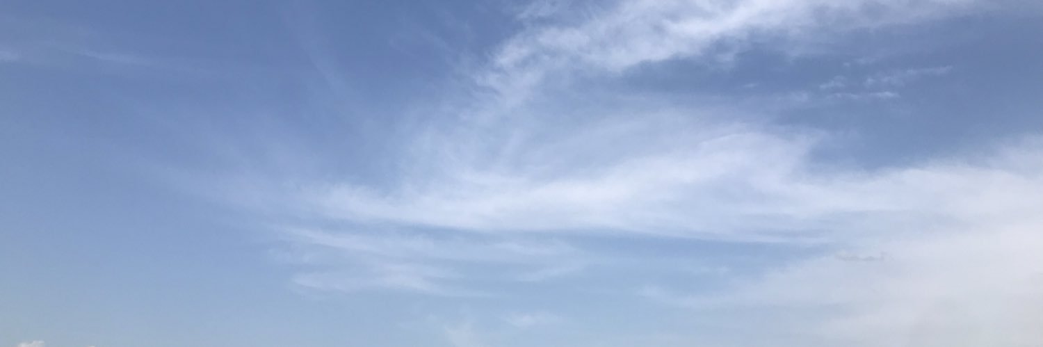 s11234952's profile banner image
