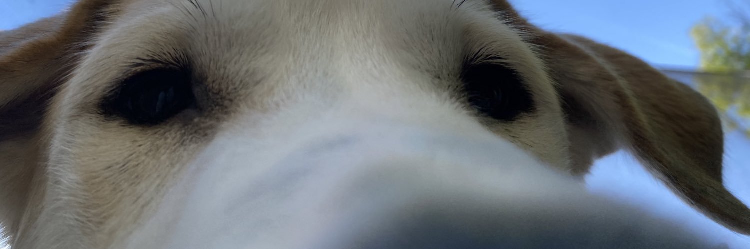 ethanabe5's profile banner image