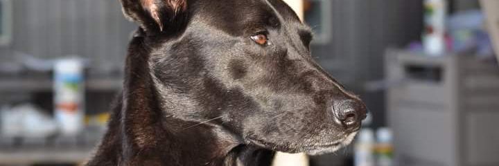 ClaireHalverson's profile banner image