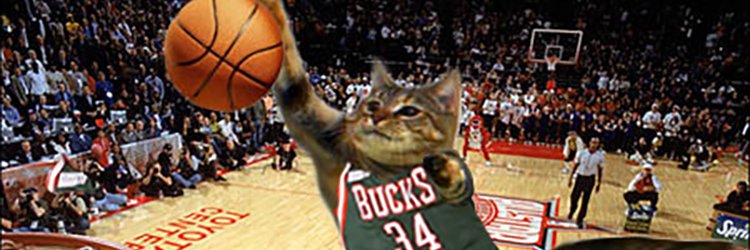 Bonfinator's profile banner image