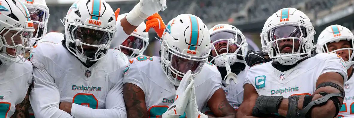 Wil❤️Dolphins banner