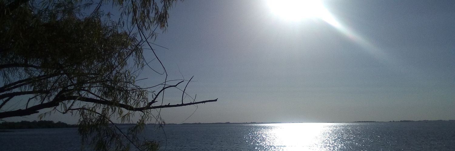 Teresitamacchi's profile banner image