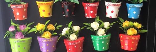 candr_ali's profile banner image