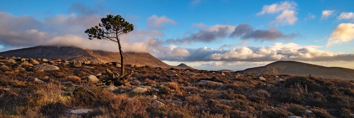 LawrenceEagling's profile banner image