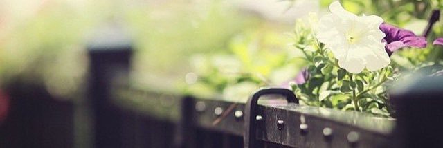Njo_1407's profile banner image