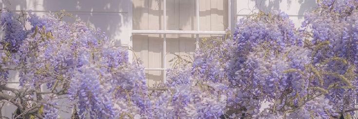 bxlackr's profile banner image