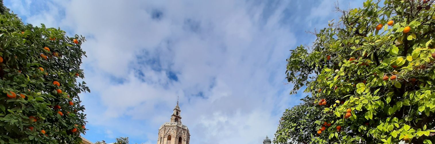 ClimentEsther's profile banner image
