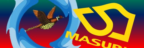BarnesStormers's profile banner image
