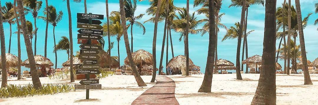 🥥 banner