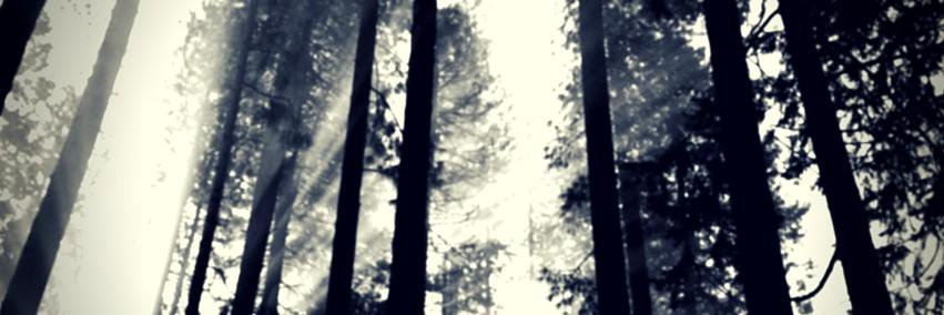 ScreamingGiants banner