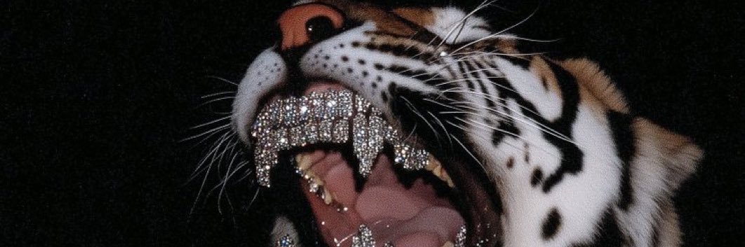 EmperorShavon's profile banner image