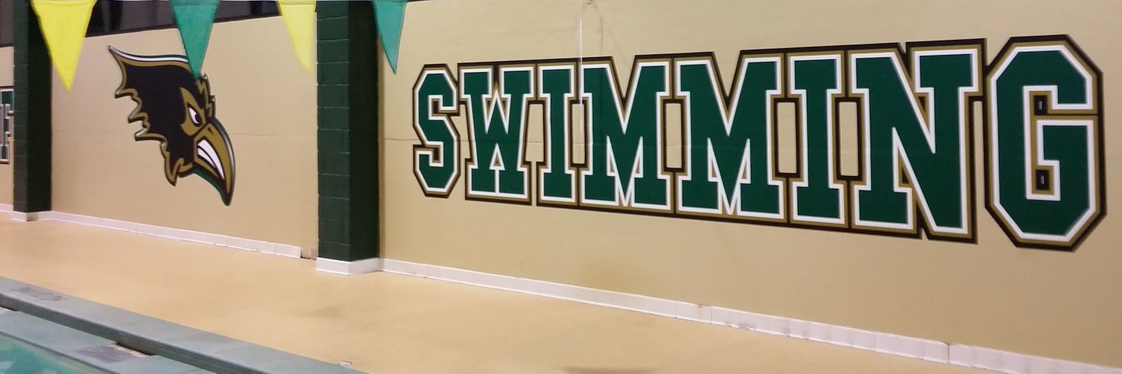 Ravens_Swimming's profile banner image