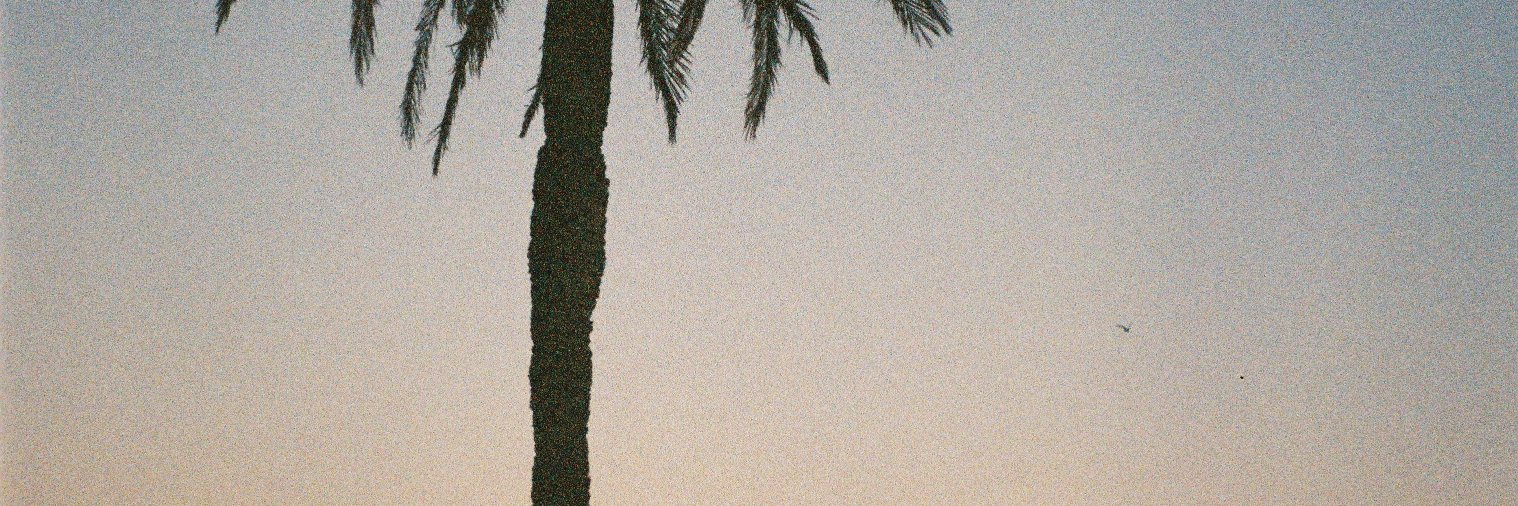 sandyfiocchetti's profile banner image