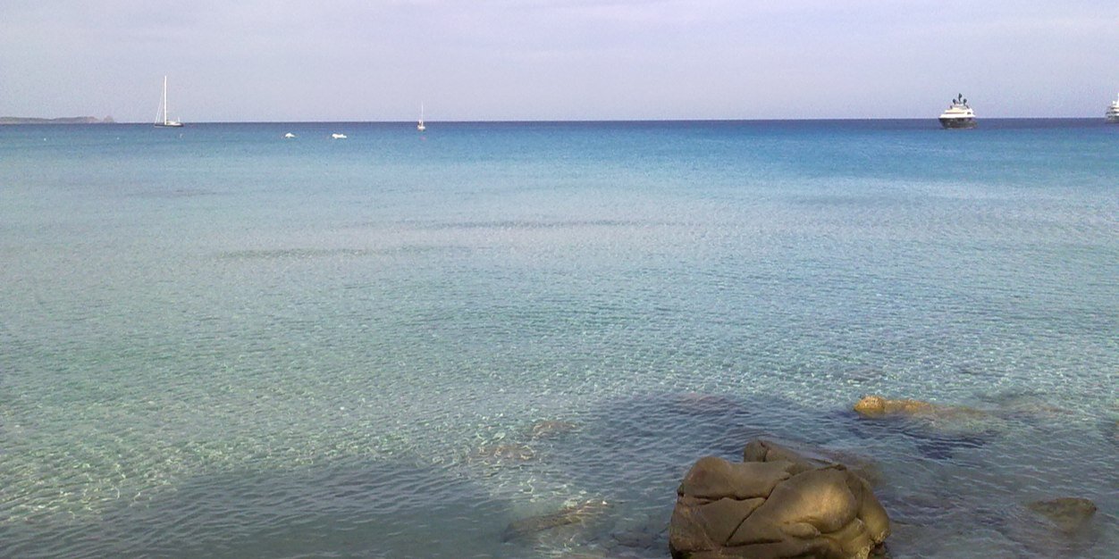 perrone_stella's profile banner image