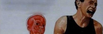 Calys (ça glisse) 🤷 banner