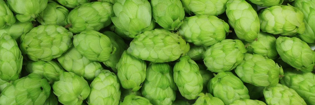 SIBrewers's profile banner image