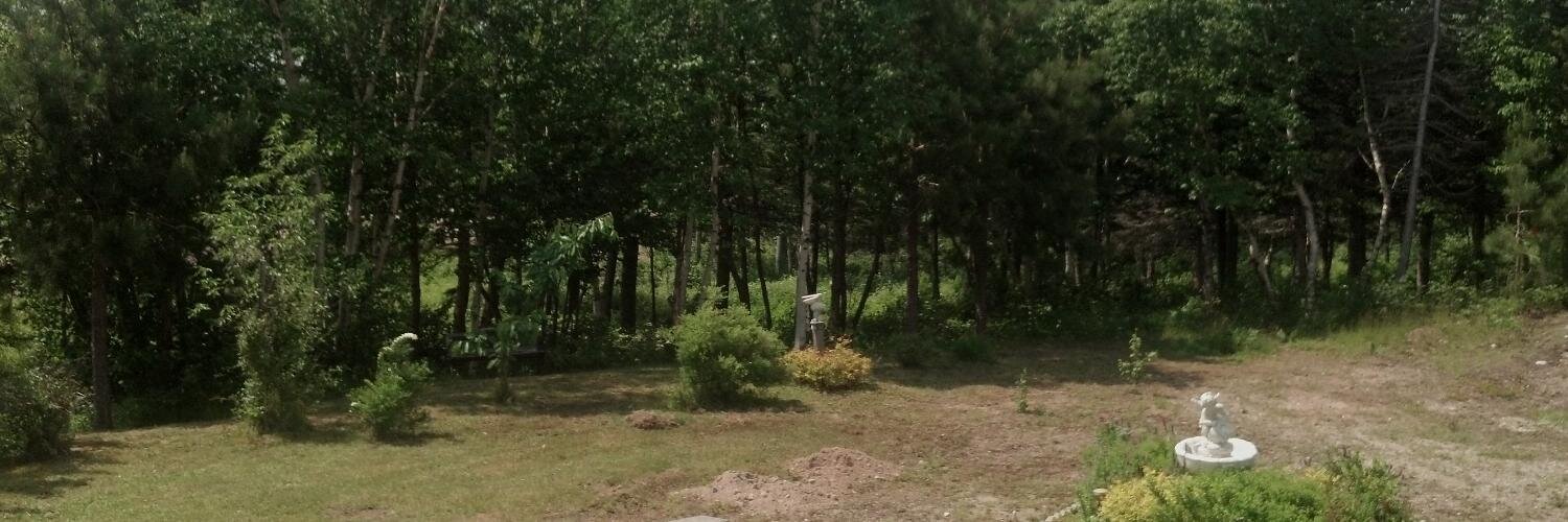 NavadaSmiles's profile banner image