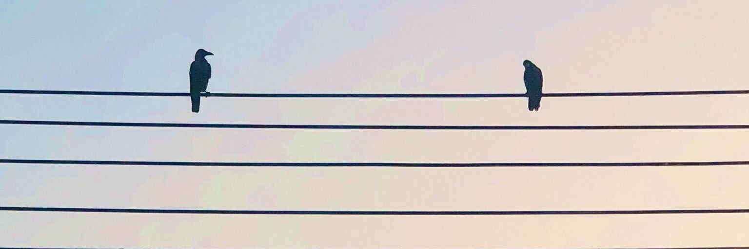 am_sh37's profile banner image