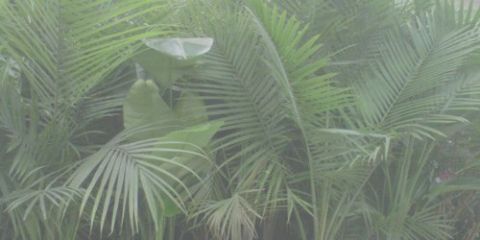 dobnrogdr's profile banner image