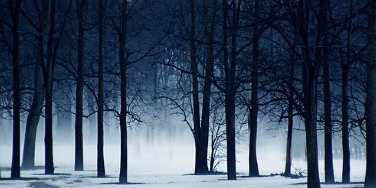 cuddlinggrier's profile banner image