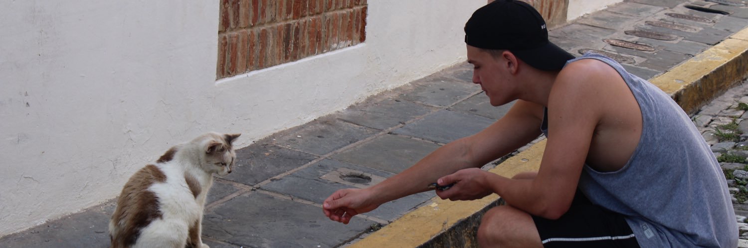 HieringerTim's profile banner image