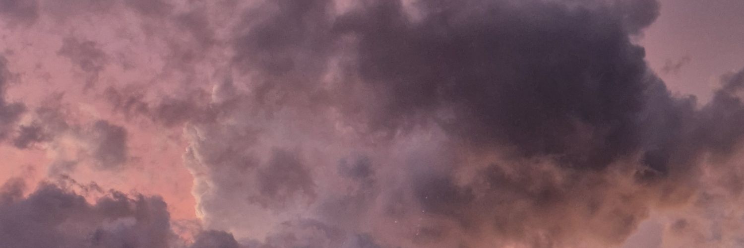BravePink1989's profile banner image