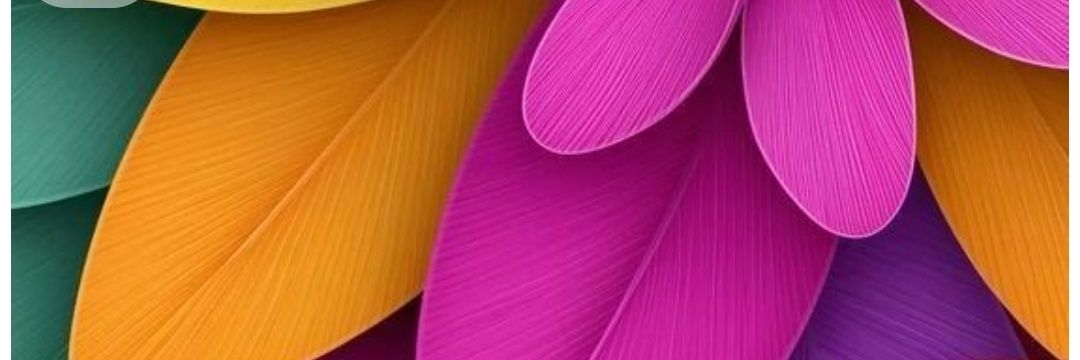 Love Rose banner