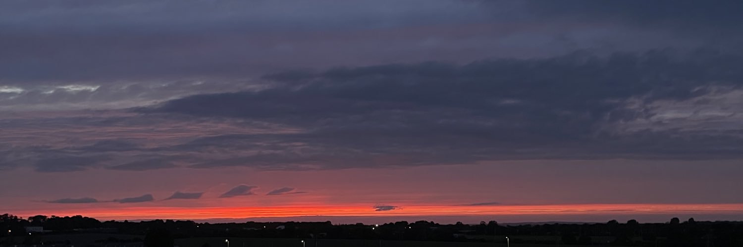 acura integurl banner