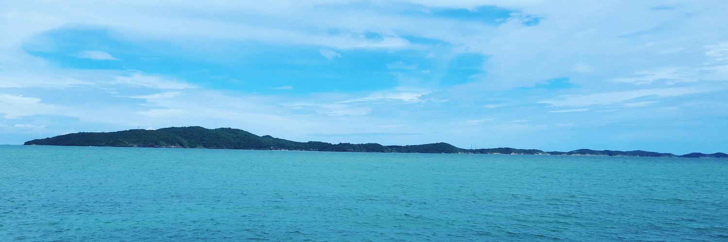 ABeeWasinee's profile banner image