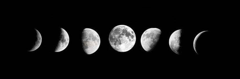 roberta_borgesc's profile banner image