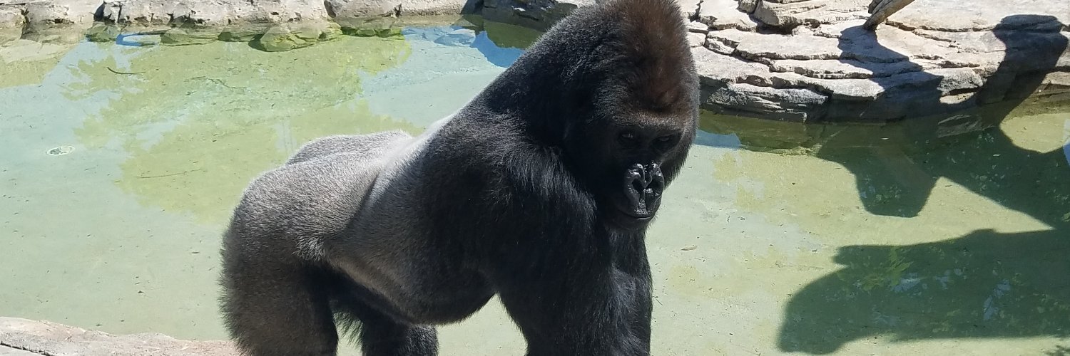 Jeremy Fehrmann banner