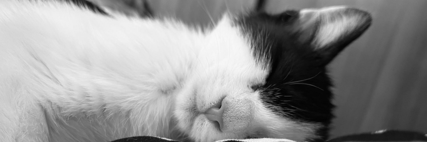 PerniaPolo's profile banner image